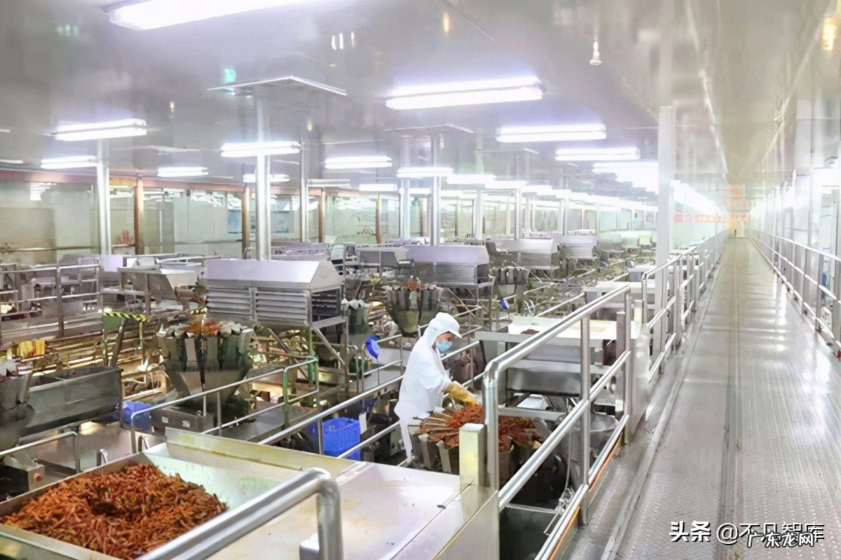 劲仔小鱼是什么鱼做的？劲仔小鱼安全吗？