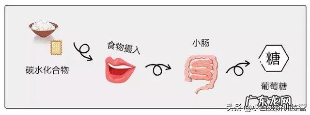 有些蔬菜常吃也会长胖,这是为什么?