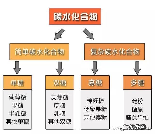 有些蔬菜常吃也会长胖,这是为什么?