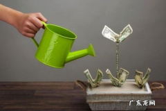 网络创业点子？有什么创业项目？