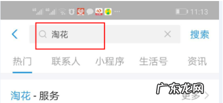 淘花是什么？如何使用淘花？
