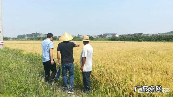 贴息贷款是什么意思? 如果乡村振兴给你贴息贷款100万,100亩地,让你发展一个产业,你会怎么做?