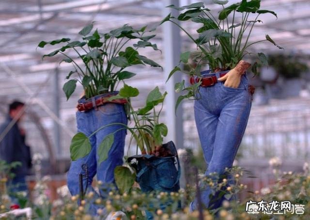 贴息贷款是什么意思？ 如果乡村振兴给你贴息贷款100万，100亩地，让你发展一个产业，你会怎么做？