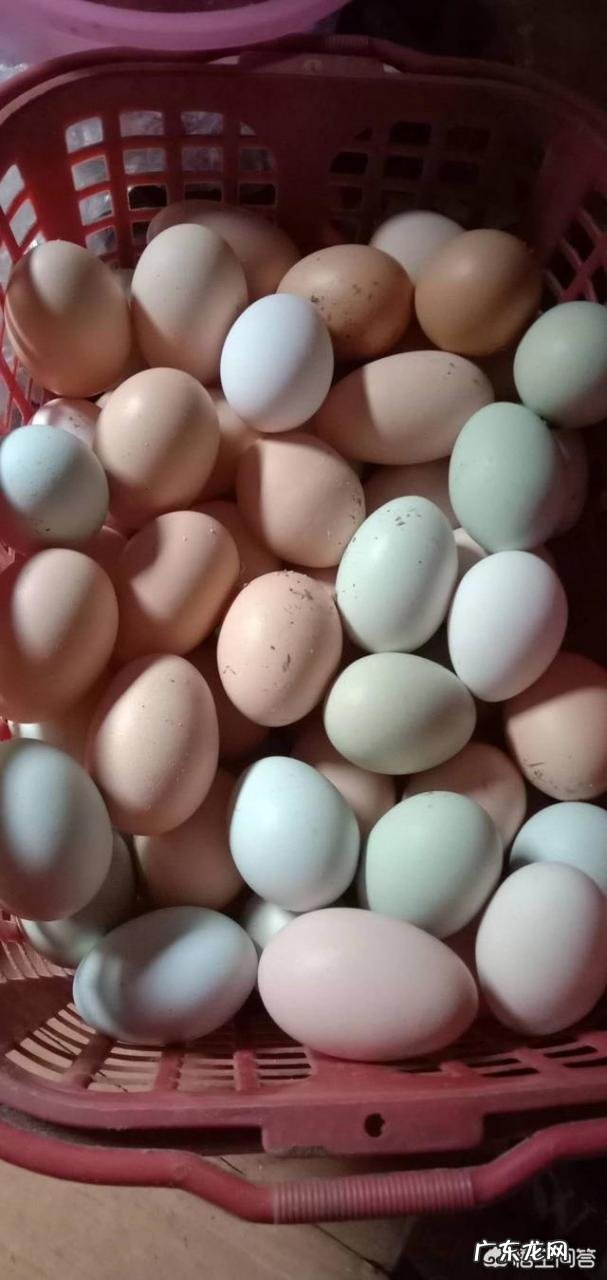 贴息贷款是什么意思? 如果乡村振兴给你贴息贷款100万,100亩地,让你发展一个产业,你会怎么做?