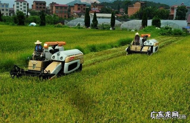 固辞不受？ 请问在小县城创业，什么行业能够不受电商的影响，能够挣钱？