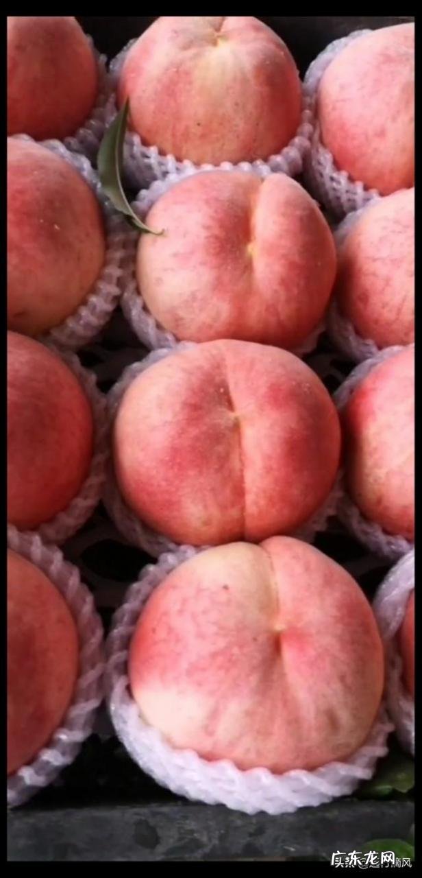 农村股权证一户一本吗？ 如果提供一百万启动资金，你会在农村如何投资？