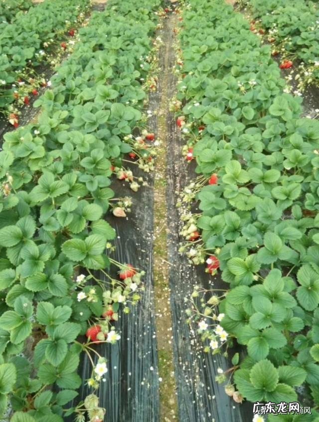 农村股权证一户一本吗？ 如果提供一百万启动资金，你会在农村如何投资？