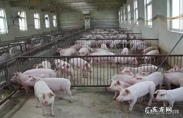 农村股权证一户一本吗? 如果提供一百万启动资金,你会在农村如何投资?