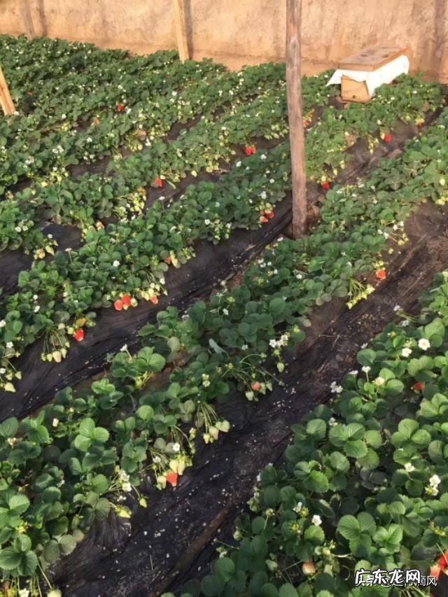 农村股权证一户一本吗？ 如果提供一百万启动资金，你会在农村如何投资？