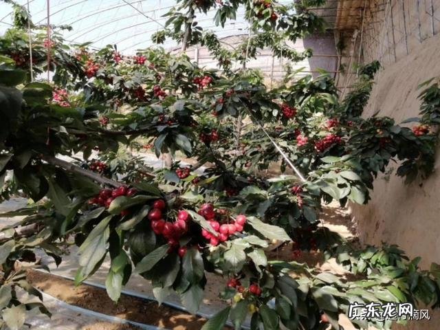 农村股权证一户一本吗？ 如果提供一百万启动资金，你会在农村如何投资？