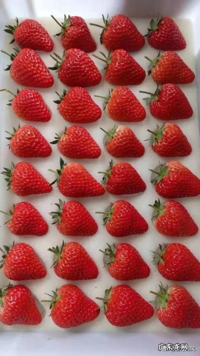 农村股权证一户一本吗？ 如果提供一百万启动资金，你会在农村如何投资？