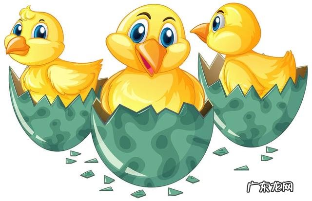 农村股权证一户一本吗? 如果提供一百万启动资金,你会在农村如何投资?