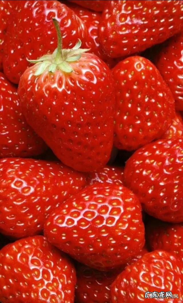 农村股权证一户一本吗？ 如果提供一百万启动资金，你会在农村如何投资？