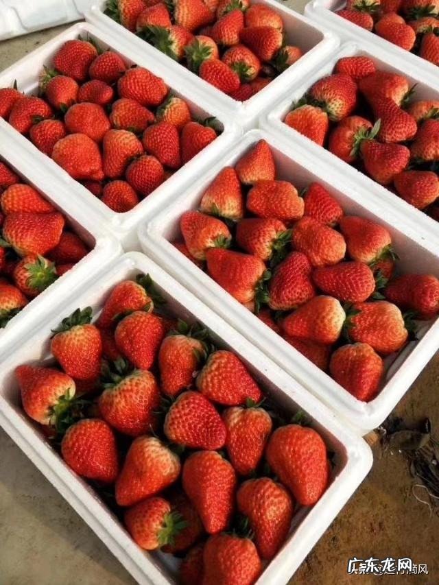 农村股权证一户一本吗？ 如果提供一百万启动资金，你会在农村如何投资？