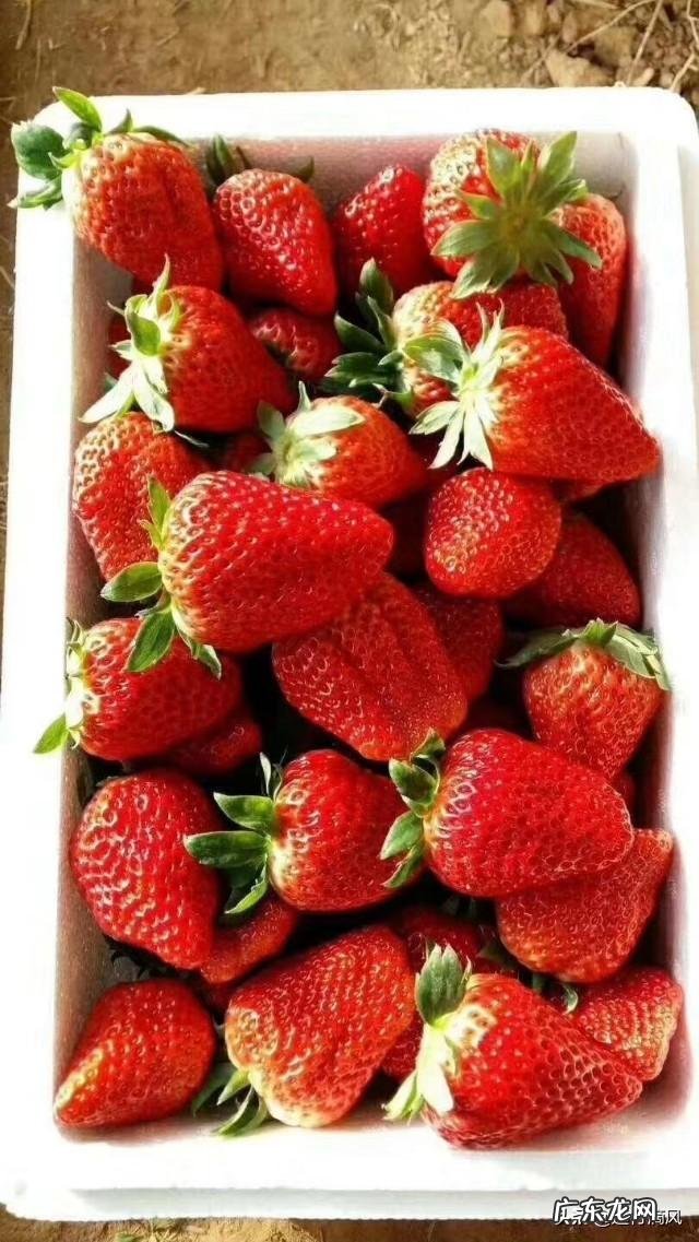 农村股权证一户一本吗？ 如果提供一百万启动资金，你会在农村如何投资？