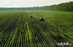 农村股权证一户一本吗？ 如果提供一百万启动资金，你会在农村如何投资？