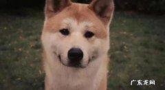 有哪些想到或者看到名字就想哭的电影