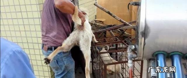 年轻人小型创业项目? 手里有二十万左右,适合做什么样的创业项目?