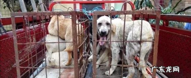 年轻人小型创业项目? 手里有二十万左右,适合做什么样的创业项目?