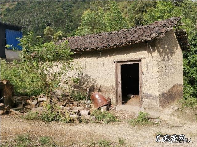 乡镇人越来越少？ 为什么农村养狗的人越来越少？