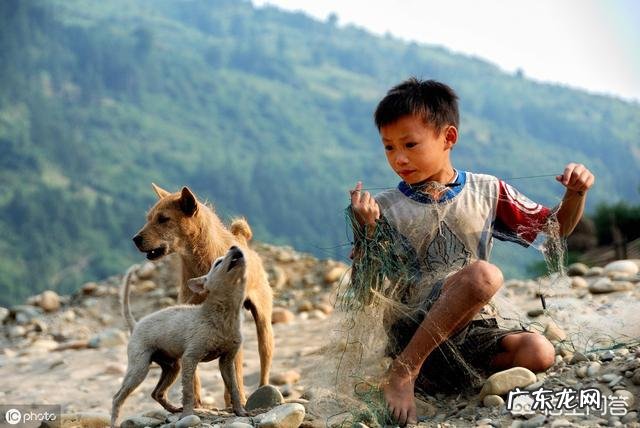 乡镇人越来越少？ 为什么农村养狗的人越来越少？