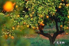 淘宝主图什么颜色吸引人？具体分析