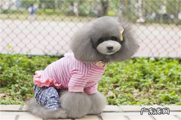 自己创业干点什么好?不妨从自己的特长出发寻找