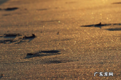 女性怎么创业？如何做？