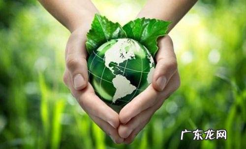 淘小铺体验掌柜可以注销吗？淘小铺是什么？