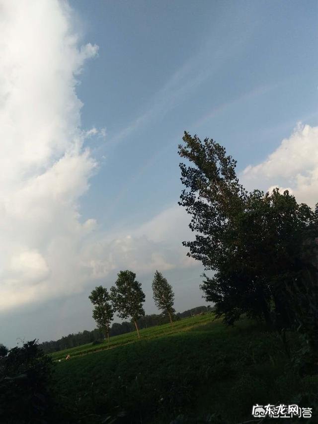 宵夜大排档菜式图片? 在农村做宵夜大排挡有赚头吗?为什么?