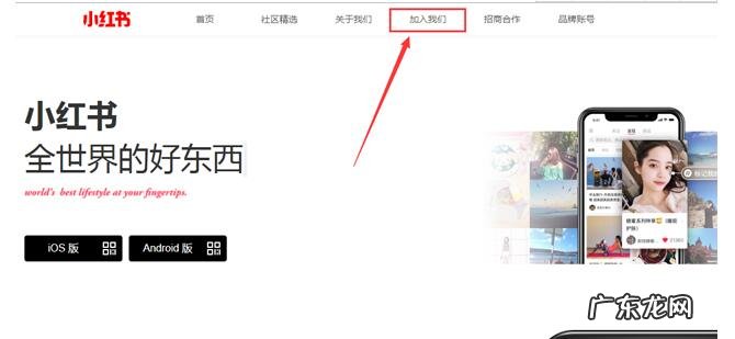 网页版首页入口登录步骤 小红书官网网页版怎么登录