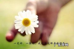 微信朋友圈正能量说说心情短语 朋友圈说说心情短语正能量