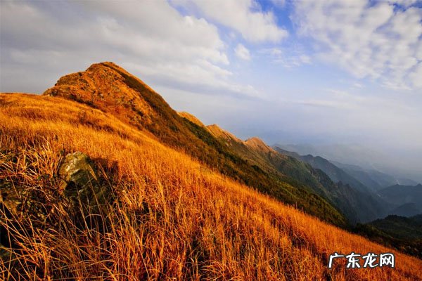 淘宝直播为什么连麦失败?连麦对象怎么选择?