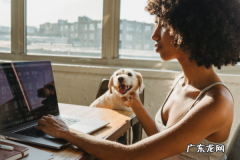 拼多多商家盗图有什么后果 拼多多被投诉盗图有什么惩罚