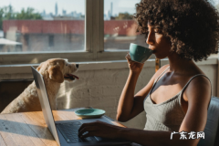 拼多多开店需要执照吗 拼多多开网店要营业执照吗