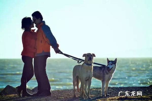 创业适合做什么？创业者不同适合的项目不同