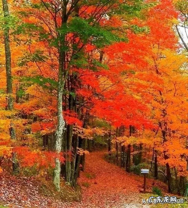 为什么,寒露节气过后,要重视养护肾脏,具体怎么做?