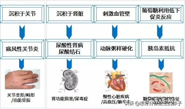为什么,寒露节气过后,要重视养护肾脏,具体怎么做?