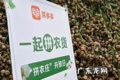 拼多多直通车智能创意怎么关闭 拼多多智能创意怎么关闭