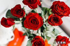 少儿编程是什么？它将会成为新的创业风口吗？