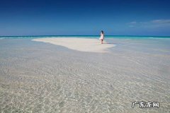 冷门行业创业有何优势？有哪些冷门项目?