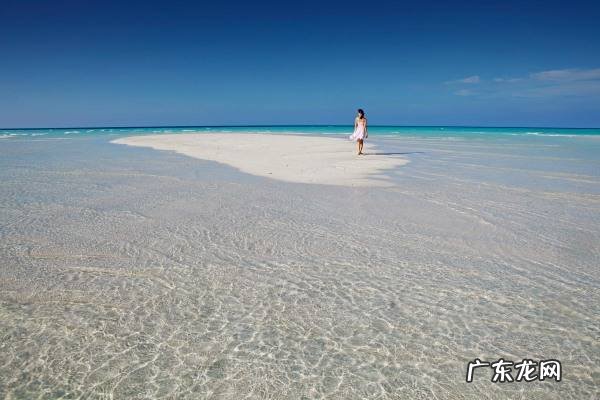 冷门行业创业有何优势?有哪些冷门项目?