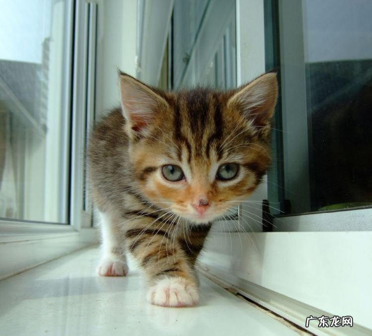 跳郑多燕减肥操半个月 每天跳半个小时的郑多燕减肥操可以瘦下来吗