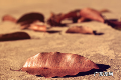 如何避免创业失败？该作何准备？