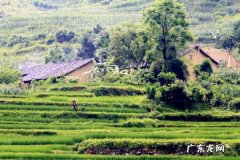 农村创业形式怎么样？哪些方案比较可行？