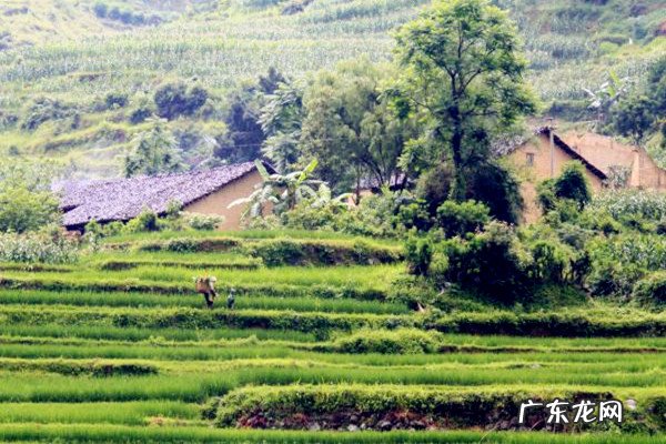 农村创业形式怎么样？哪些方案比较可行？