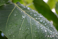 互联网创业还有机会吗？哪些项目比较好？