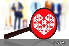 拼多多领航员分数 拼多多领航员综合表现是什么意思