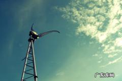 创业者应具备哪些特质？五大创业者必备素质