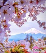 打动女人心的表白情话说说 打动女人心的表白情话